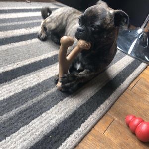 Meet your Posher, Mya